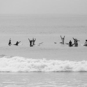 Meet your Posher, Julie